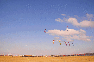开云APP下载-世界风筝节体育竞技，空中飞翔的艺术之美的简单介绍