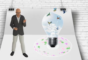 开云体育平台-中国篮球职业联赛俱乐部财务风险管理及控制，篮球俱乐部的风险与对策