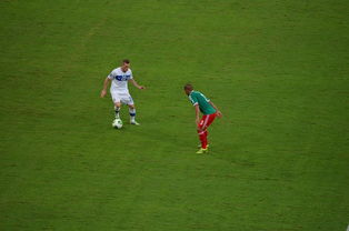 开云体育下载官网-中国足球对抗频次与伤病风险相关性，足球 对抗