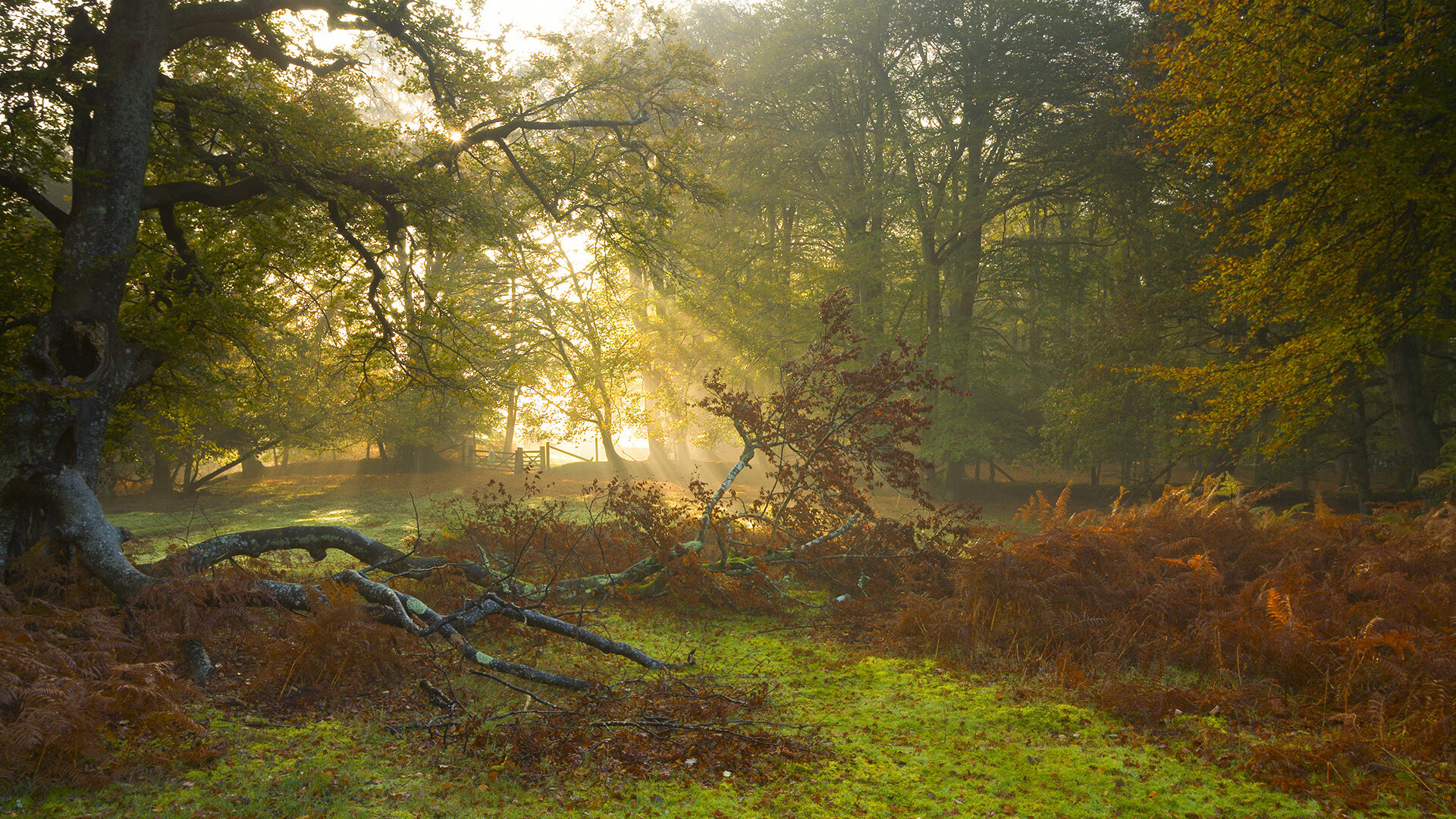 开云体育娱乐app安全-国足平均传球长度趋势分析，足球比赛传球次数统计