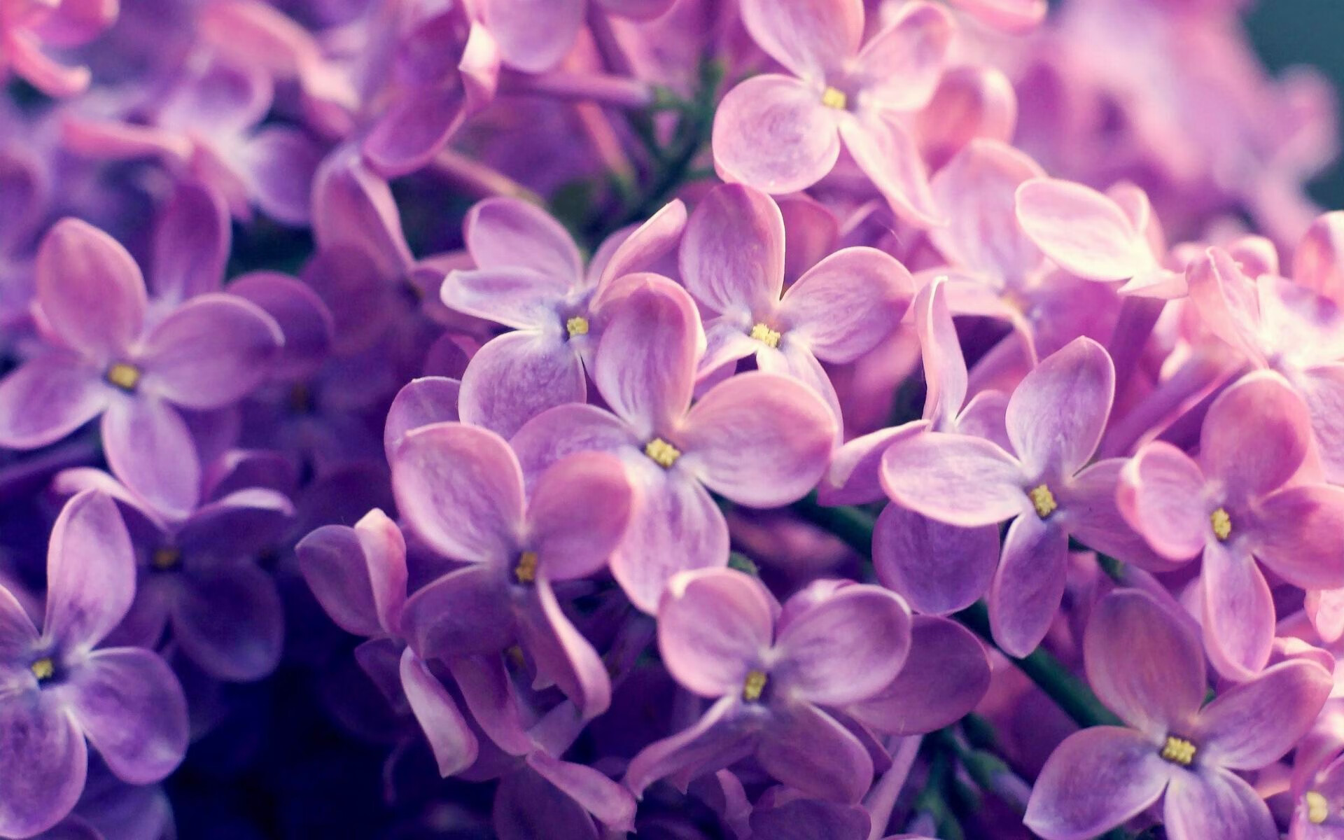 高校赛事应急管理体系建设,高校赛事应急管理体系建设方案