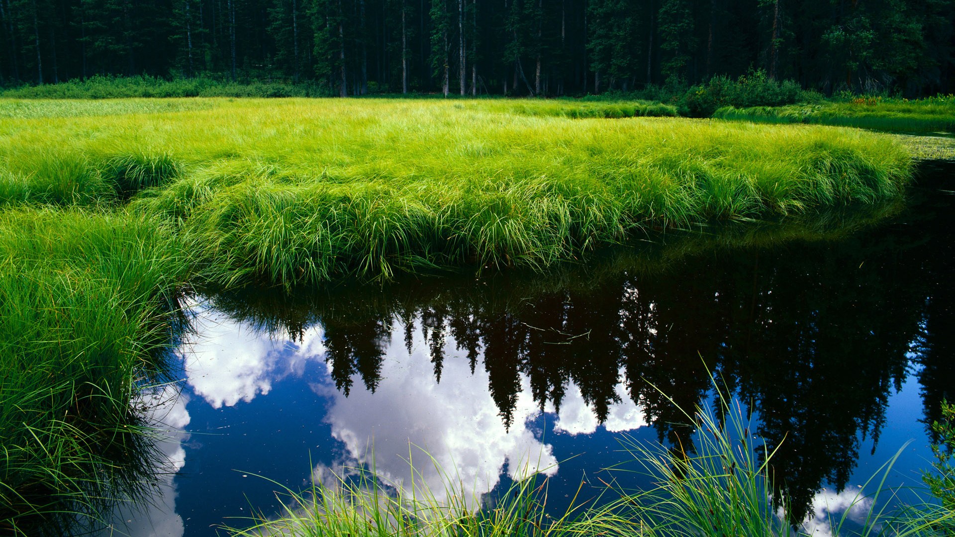 中国三人篮球女队调整阵型应对强敌,中国三人篮球女队调整阵型应对强敌视频