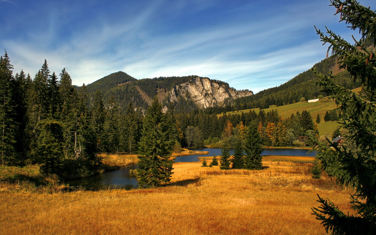 开云体育保障-美洲杯明星集结：个人闪耀，团体巅峰！，美洲杯选手