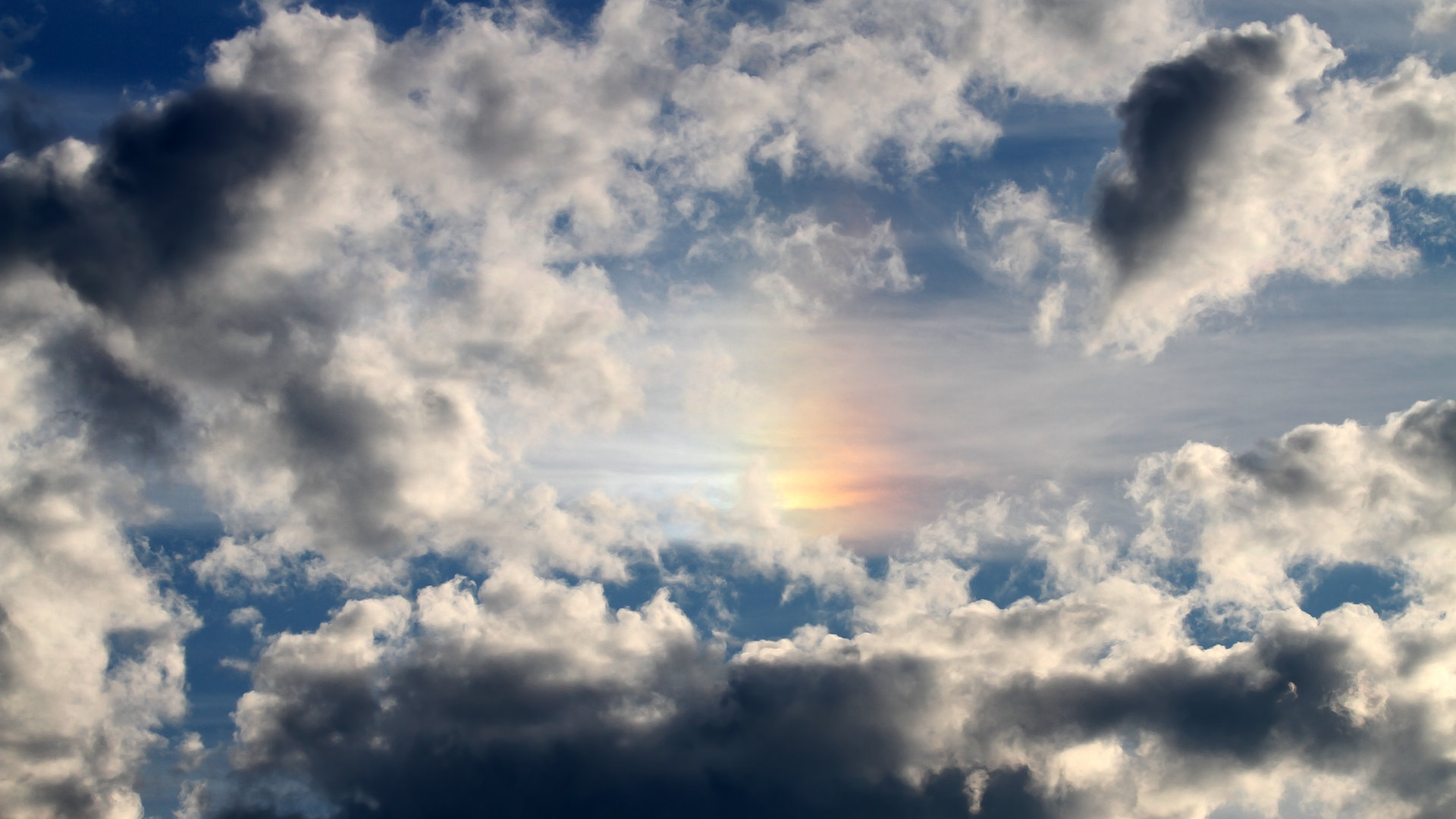 苏格兰橄榄球依靠青训系统崛起,未来更具竞争力,苏格兰场受训