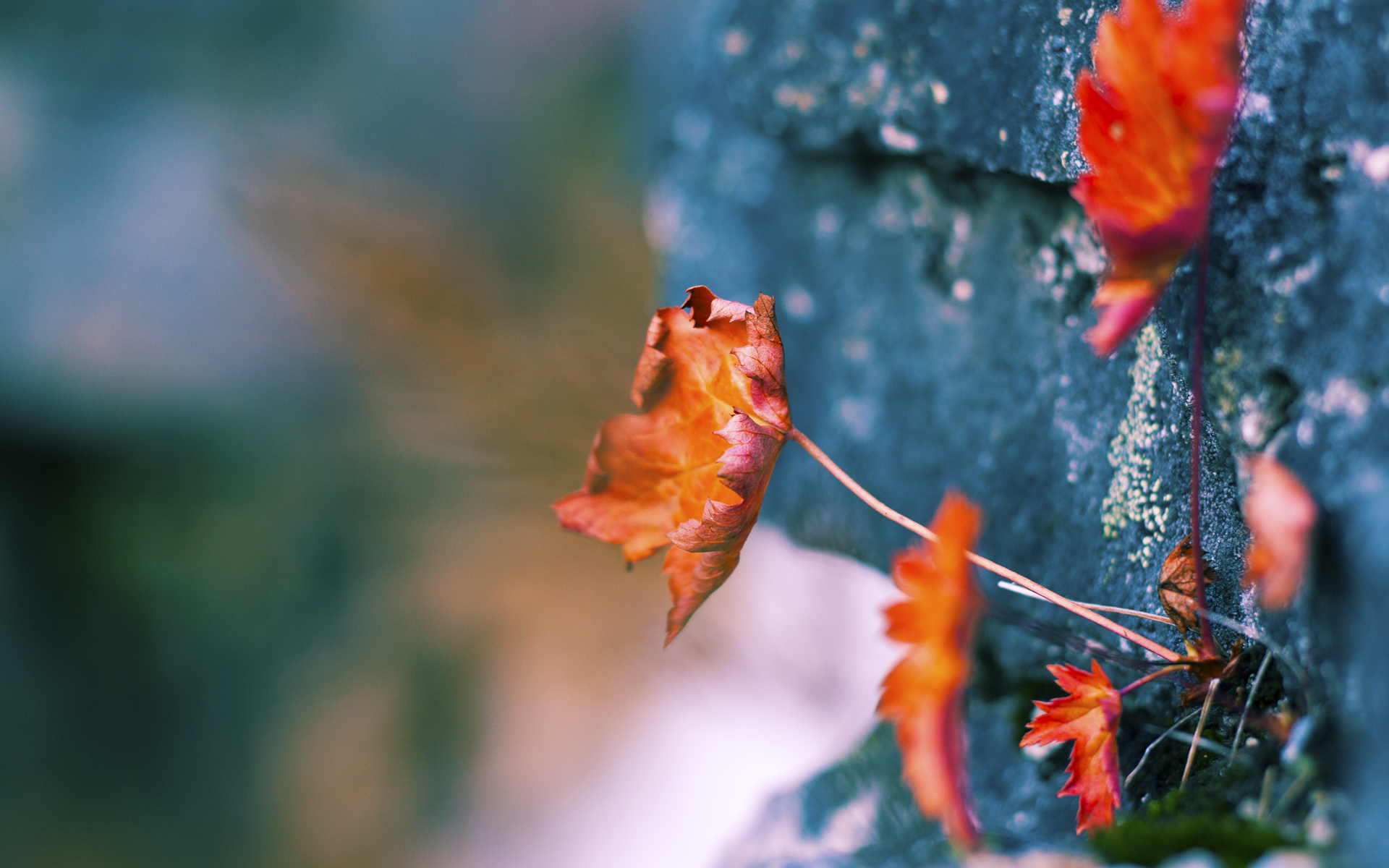 观众满意度调查结果公布整体观赛体验持续向好提升,专业观众满意度